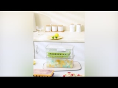 GJ2817 আইস কিউব ট্রে